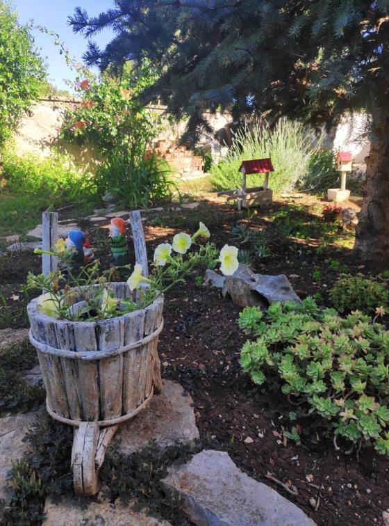 Apartmani Lucica Jezera Luaran gambar