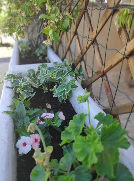 Apartmani Lucica Jezera Luaran gambar