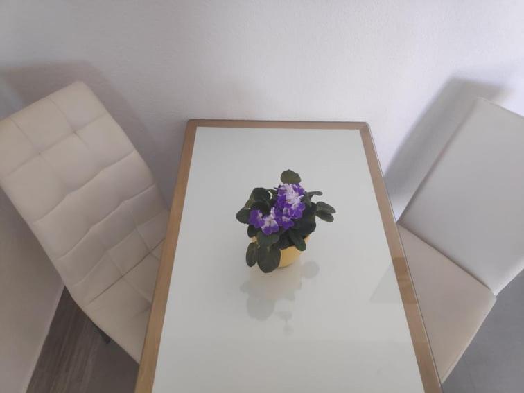 Apartmani Lucica Jezera Luaran gambar
