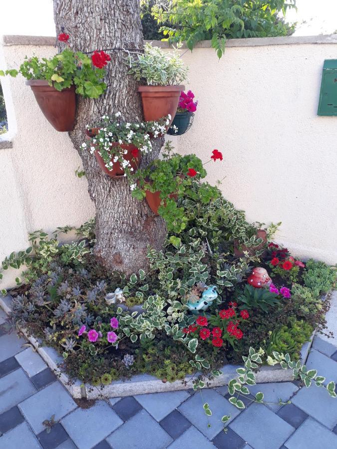 Apartmani Lucica Jezera Luaran gambar